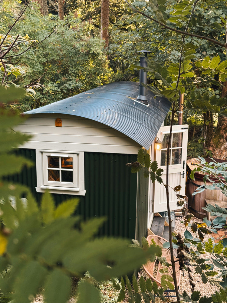 Backyard Buildings