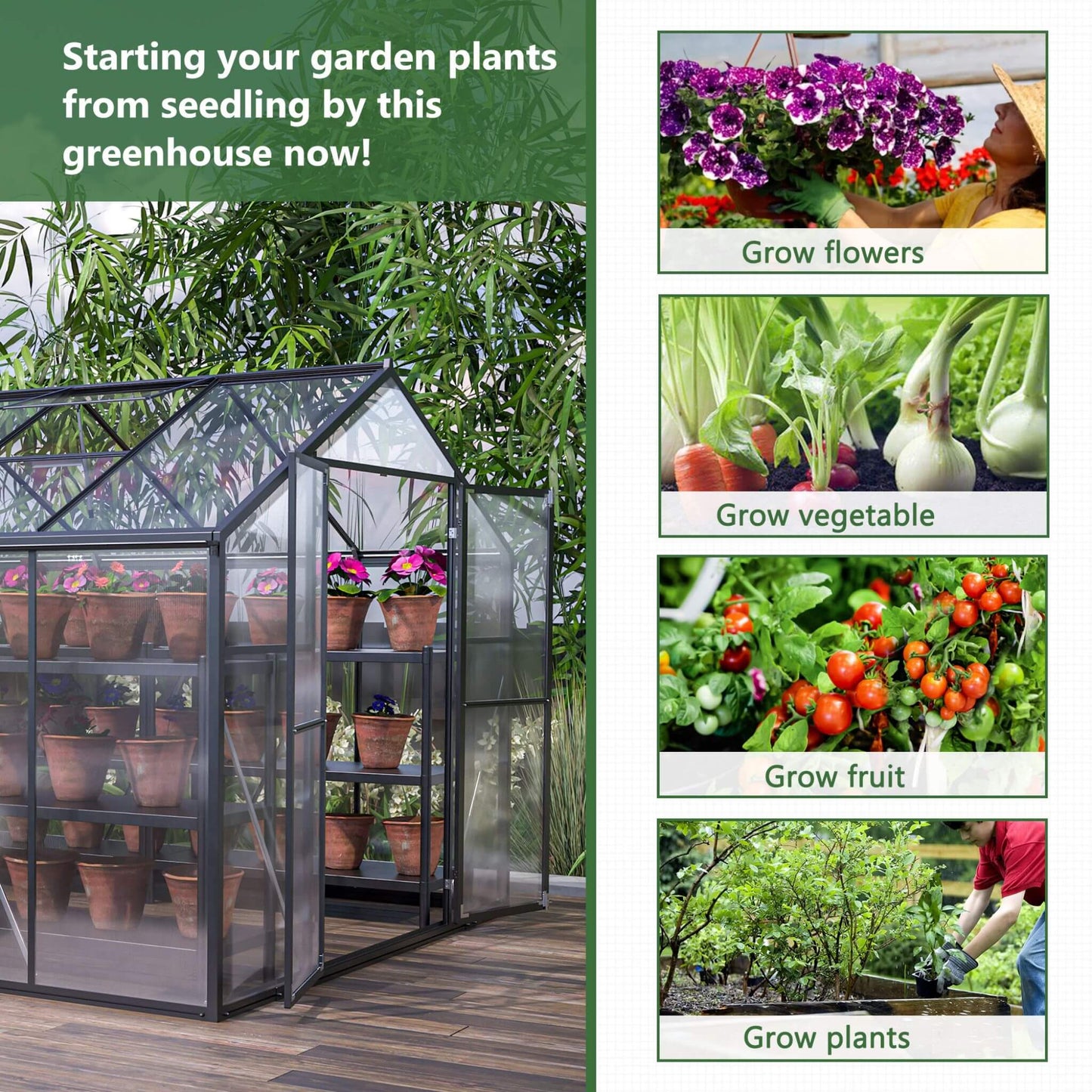 Large Heavy-Duty Walk-In Greenhouse with Double Doors and Ventilation