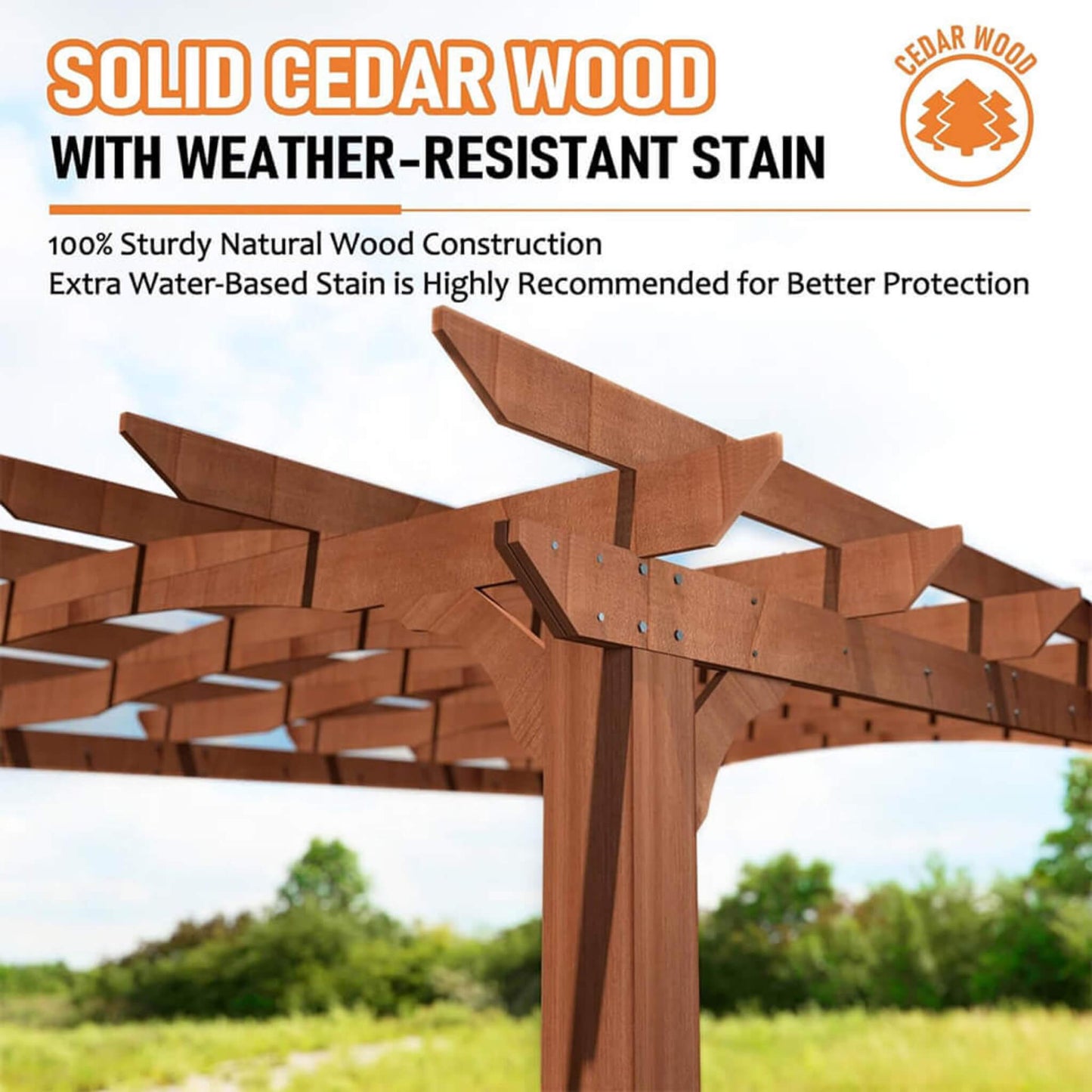 Luxury Cedar Wood Arched Roof Outdoor Pergola