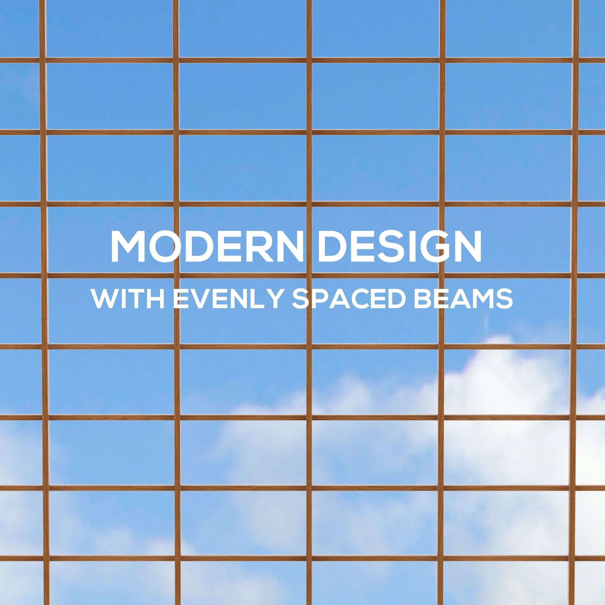 523459801