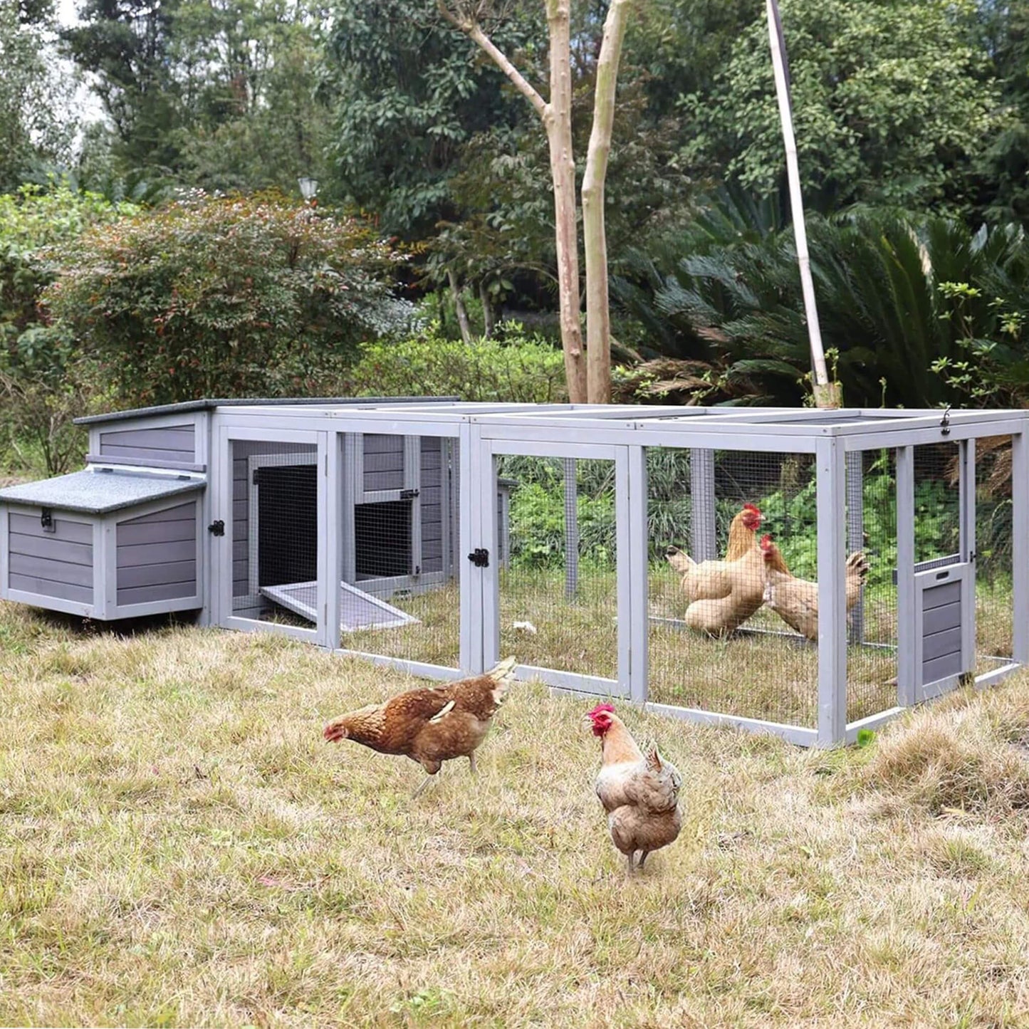 Large 103-Inch Chicken Coop with Run & Nesting Box