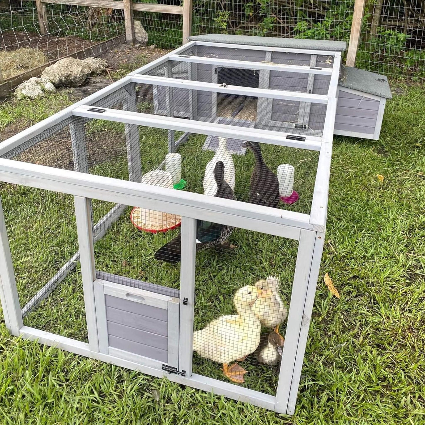 Large 103-Inch Chicken Coop with Run & Nesting Box