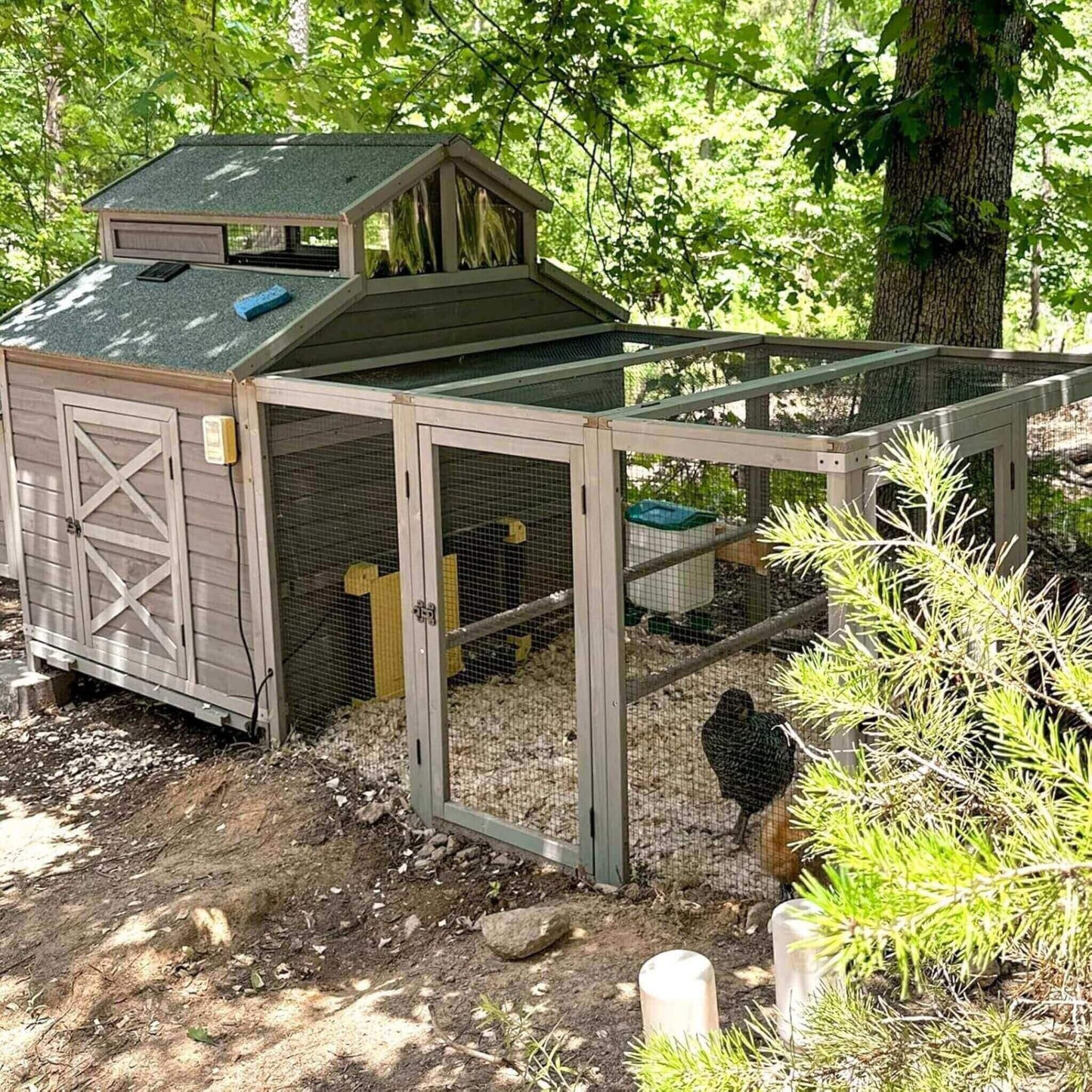 Large 115-Inch Portable Chicken Coop with Run and Nesting Boxes